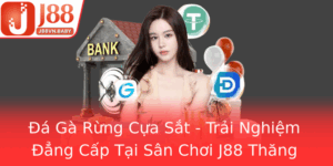 A Ga Rung Cua Sat Trai Nghiem Ang Cap Tai San Choi J88 Thang Hoa