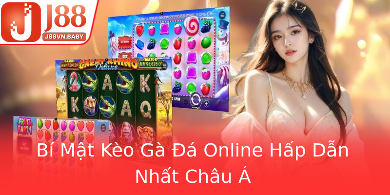 Bí Mật Kèo Gà Đá Online Hấp Dẫn Nhất Châu Á Bí Mật Kèo Gà Đá Online Hấp Dẫn Nhất Châu Á