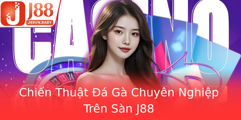 Chiến Thuật Đá Gà Chuyên Nghiệp Trên Sàn J88