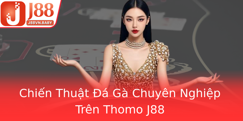 Chiến Thuật Đá Gà Chuyên Nghiệp Trên Thomo J88