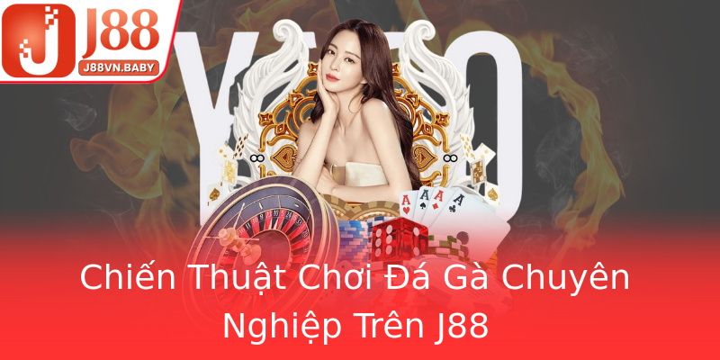 Chiến Thuật Chơi Đá Gà Chuyên Nghiệp Trên J88