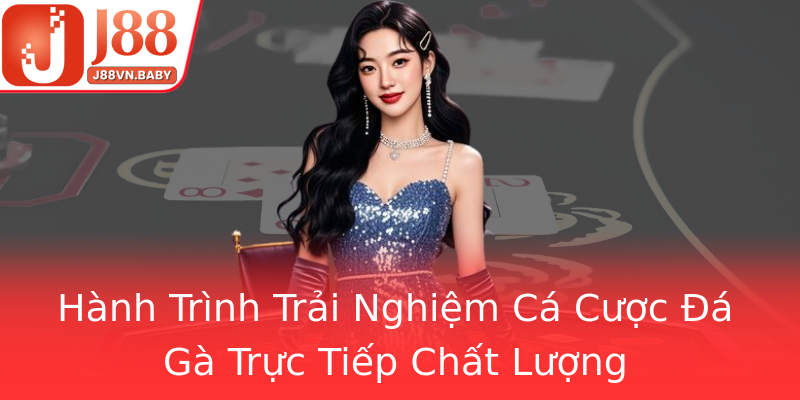 Hành Trình Trải Nghiệm Cá Cược Đá Gà Trực Tiếp Chất Lượng Hành Trình Trải Nghiệm Cá Cược Đá Gà Trực Tiếp Chất Lượng