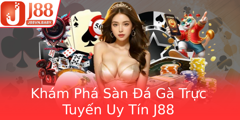 Khám Phá Sàn Đá Gà Trực Tuyến Uy Tín J88 Khám Phá Sàn Đá Gà Trực Tuyến Uy Tín J88