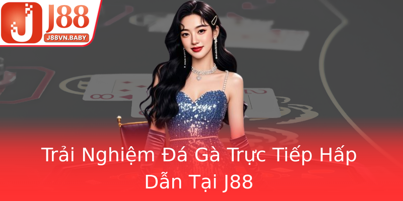Trải Nghiệm Đá Gà Trực Tiếp Hấp Dẫn Tại J88