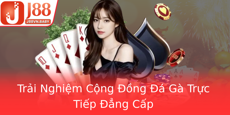 Trải Nghiệm Cộng Đồng Đá Gà Trực Tiếp Đẳng Cấp