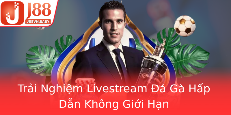 Trải Nghiệm Livestream Đá Gà Hấp Dẫn Không Giới Hạn