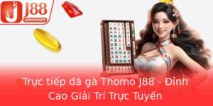 Truc Tiep A Ga Thomo J88 Inh Cao Giai Tri Truc Tuyen