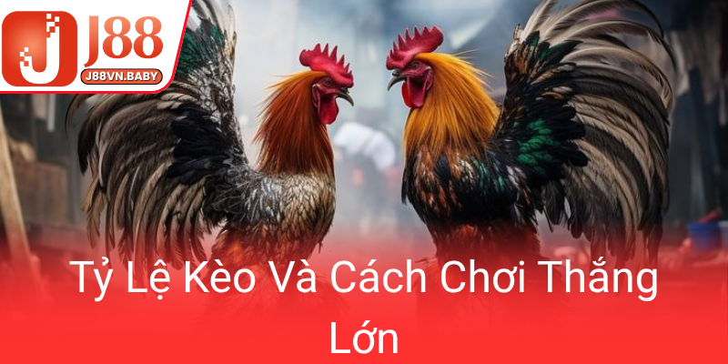 Ty Le Keo Va Cach Choi Thang Lon0